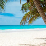holiday